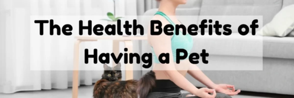 The Health Benefits of Having a Pet: More Than Just Companionship