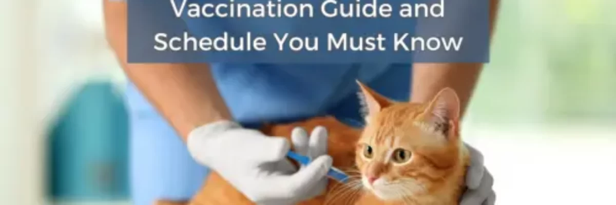 Panduan Vaksin Kucing Terlengkap dan Jadwal Pemberian yang Wajib Kamu Tahu