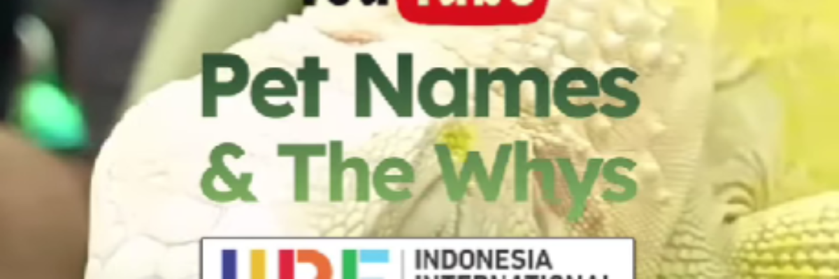 Acara Di IIPE