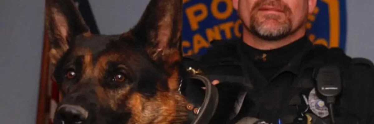 Kisah Kepahlawanan Jethro: Anjing Polisi yang Melindungi Rekannya Hingga Akhir Hayat