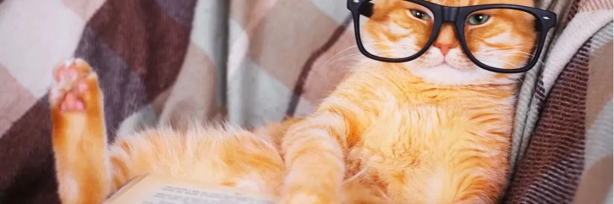 The 5 Most Intelligent Cat Breeds