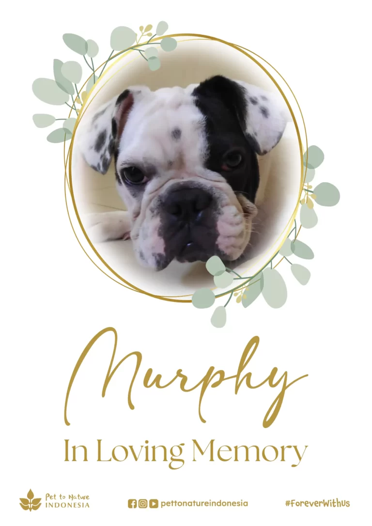 farewell ceremony of Murphy