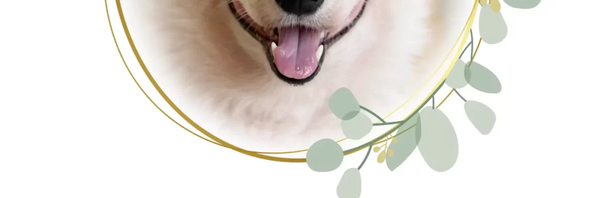 Lucky