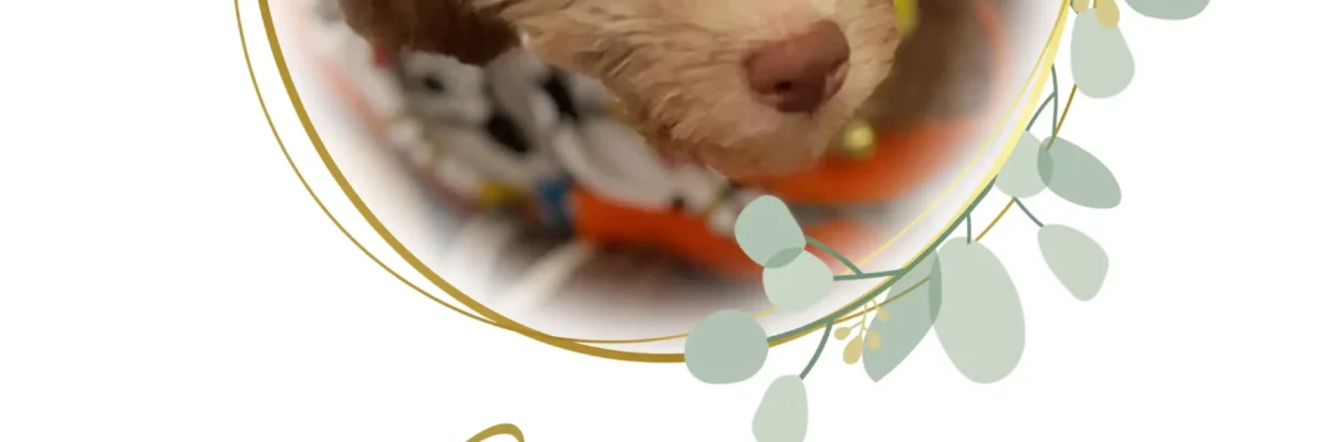 Griffin Guillermo Allen