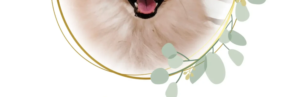 Chibi