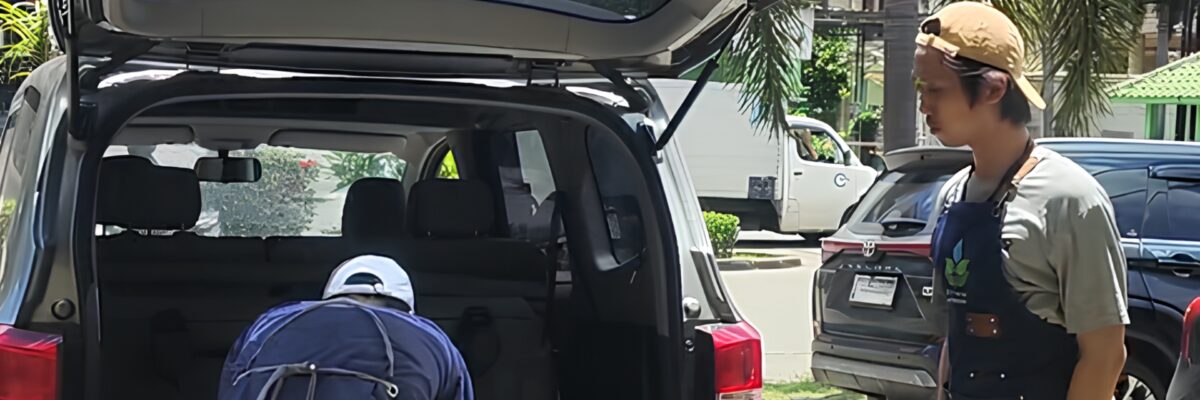 Bagaimana Cara Memilih Layanan Kremasi Hewan yang Terpercaya di Jabodetabek?