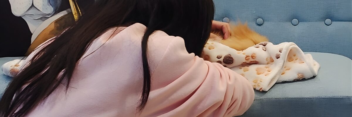 Anabul Meninggal di Rumah: Langkah Tenang yang Bisa Kamu Lakukan Sebelum Kami Datang