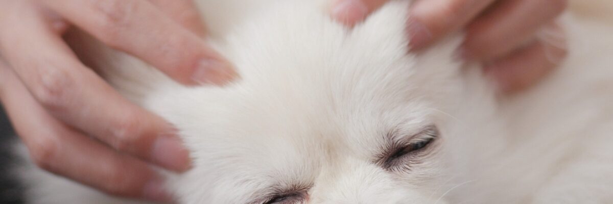 Air Membawaku Pergi dengan Lembut, Seperti Sentuhan Terakhirmu