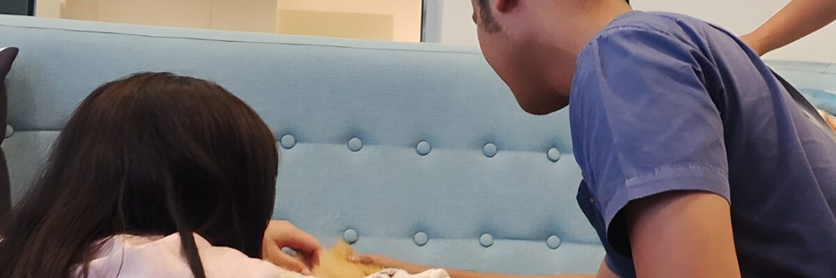 Berapa Lama Proses Pet Aquamation? Dari Penjemputan hingga Abu Siap Diserahkan