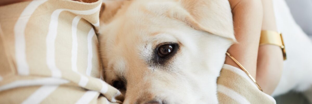 Nafasku Berhenti, Tapi Ikatan Kita Tak Pernah Putus