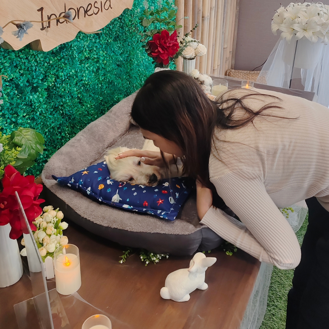 Momen perpisahan penuh kasih antara pemilik dan hewan peliharaan dalam layanan bio cremation dengan suasana farewell yang hangat dan tenang