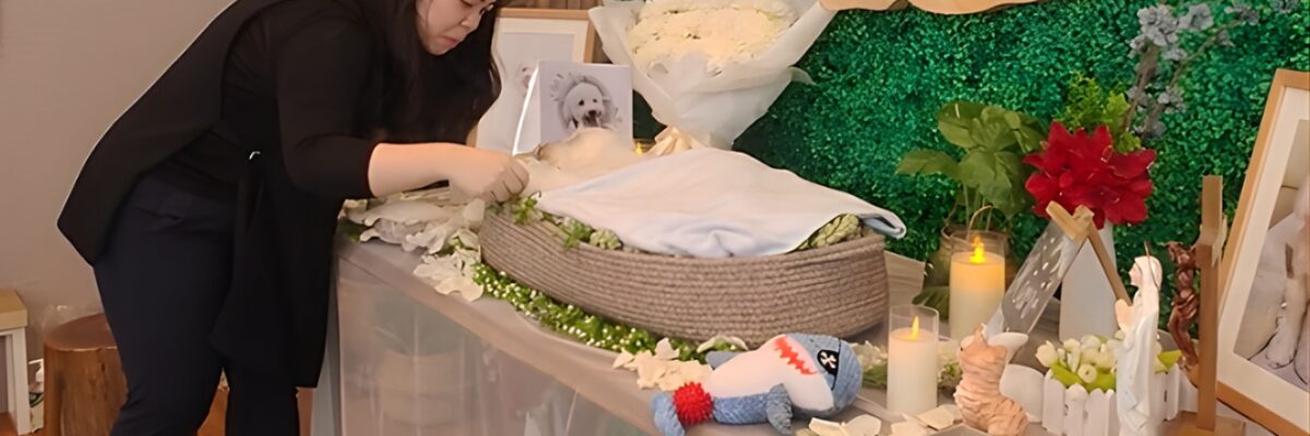 Tangismu Adalah Rumah Terakhirku di Dunia Ini