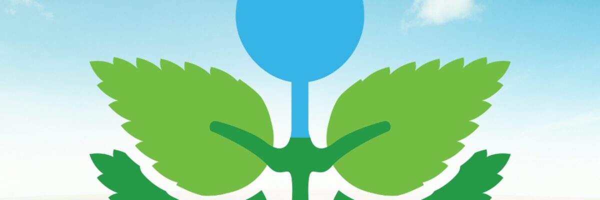 Mengapa Semakin Banyak Paw Parents Perkotaan Memilih Pet Aquamation?