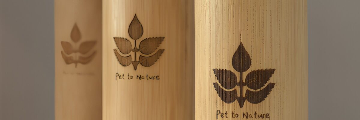 Honoring a Lifetime of Love: Meaningful Ways to Say Goodbye to Your Pet