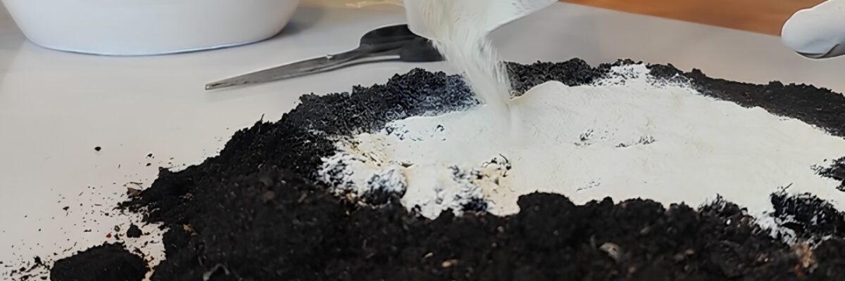 Does Pet Aquamation Produce Ashes Like Flame Cremation? Here’s How It Works   